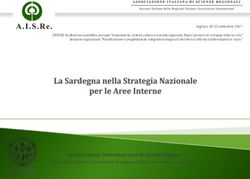 Università di Cagliari -Dipartimento di Ingegneria Civile, Ambientale e Architettura - AISRe