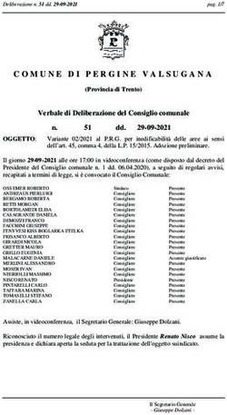 COMUNE DI PERGINE VALSUGANA