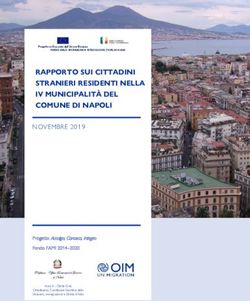 RAPPORTO SUI CITTADINI STRANIERI RESIDENTI NELLA IV MUNICIPALITÀ DEL COMUNE DI NAPOLI