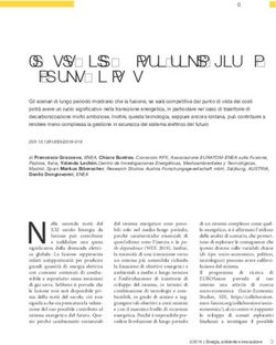 Il ruolo della fusione negli scenari di lungo periodo