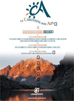 RAPPORTO 2019 BANDIERE VERDI, BANDIERA GRIGIA, BANDIERE NERE, PRATICHE INNOVATIVE E ESPERIENZE DI QUALITÀ AMBIENTALE - Legambiente