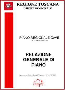 RELAZIONE GENERALE DI PIANO - REGIONE TOSCANA - PIANO REGIONALE CAVE