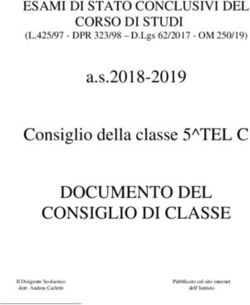 DOCUMENTO DEL CONSIGLIO DI CLASSE - a.s.2018-2019 Consiglio della classe 5 TEL C