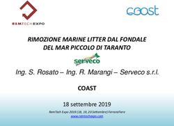 RIMOZIONE MARINE LITTER DAL FONDALE DEL MAR PICCOLO DI TARANTO - COAST Ing. S. Rosato - Ing. R. Marangi - Serveco s.r.l - RemTech Expo