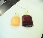 La scelta del donatore di sangue e la donazione - Elearning Dipartimento ...