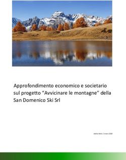 Approfondimento economico e societario sul progetto "Avvicinare le montagne" della San Domenico Ski Srl
