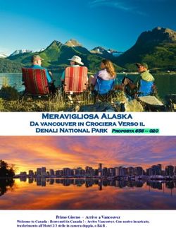 Meravigliosa Alaska Da vancouver in Crociera Verso il - Le Reve House Adventure