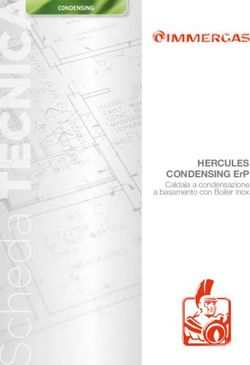 HERCULES CONDENSING ERP - CALDAIA A CONDENSAZIONE A BASAMENTO CON BOILER INOX - IMMERGAS