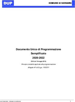 DUPDUP - Documento Unico di Programmazione Semplificato 2020-2022 (D.M. del 18 maggio 2018)