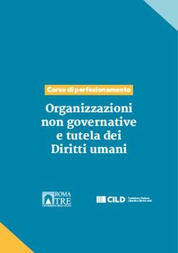 Organizzazioni non governative e tutela dei Diritti umani - Corso di perfezionamento - cild.eu