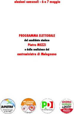 PROGRAMMA ELETTORALE elezioni comunali - 6 e 7 maggio - Pietro MEZZI centrosinistra di Melegnano del candidato sindaco e della coalizione del