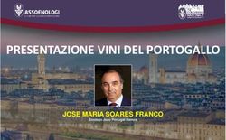 PRESENTAZIONE VINI DEL PORTOGALLO - JOSE MARIA SOARES FRANCO - Assoenologi