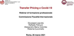 Transfer Pricing e Covid-19 - Webinar di formazione professionale Commissione Fiscalit&agrave; Internazionale Roma, 26 marzo 2021 - ODCEC Roma