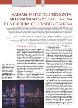 WUHAN, METROPOLI INCOGNITA. RIFLESSIONI SU COVID-19, LA CINA E LA CULTURA GEOGRAFICA ITALIANA