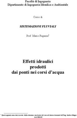 Effetti idraulici prodotti dai ponti nei corsi d'acqua