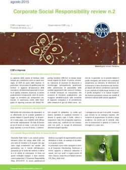 Corporate Social Responsibility review n.2 - Snam
