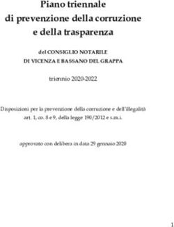Piano triennale di prevenzione della corruzione e della trasparenza