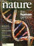 Scientometria e Bibliometria: Finalit&agrave;, metodi e strumenti