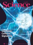 Scientometria e Bibliometria: Finalit&agrave;, metodi e strumenti