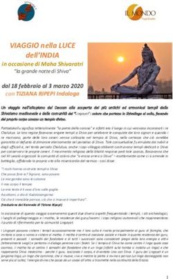 VIAGGIO nella LUCE dell'INDIA - in occasione di Maha Shivaratri