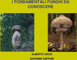 I FONDAMENTALI FUNGHI DA CONOSCERE - ALBERTO CROCI GIOVANNI GAFFURI
