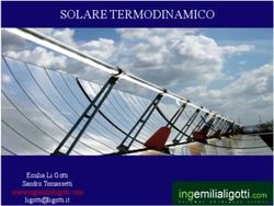 SOLARE TERMODINAMICO - Emilia Li Gotti Sandro Tomassetti www.ingemilialigotti.com