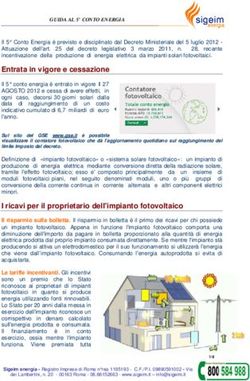 Entrata in vigore e cessazione