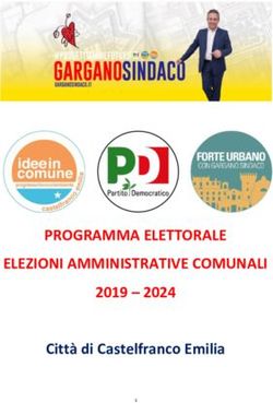 PROGRAMMA ELETTORALE ELEZIONI AMMINISTRATIVE COMUNALI 2019 - 2024 Città di Castelfranco Emilia