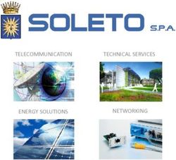 TECHNICAL SERVICES TELECOMMUNICATION - SOLETO SPA