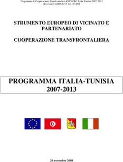 PROGRAMMA ITALIA-TUNISIA 2007-2013 - STRUMENTO EUROPEO DI VICINATO E PARTENARIATO COOPERAZIONE TRANSFRONTALIERA - Regione Siciliana