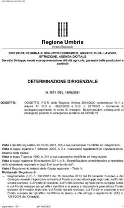 DETERMINAZIONE DIRIGENZIALE - Regione Umbria