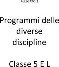 Programmi delle diverse discipline - Classe 5 E L - Liceo Classico e Linguistico ...