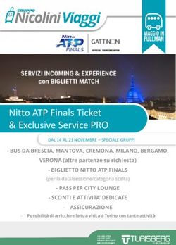 Nitto ATP Finals Ticket & Exclusive Service PRO - Gruppo ...