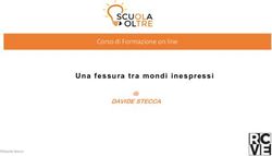 Una fessura tra mondi inespressi - Corso di Formazione on line DAVIDE STECCA di - Scuolaoltre