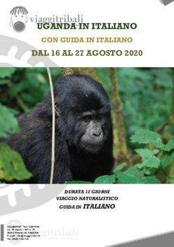 UGANDA IN ITALIANO DAL 16 AL 27 AGOSTO 2020 - CON GUIDA IN ITALIANO - Viaggi Tribali