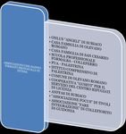 PIANO TRIENNALE DELL'OFFERTA FORMATIVA C.P.I.A. N. 7 CON SEDE CENTRALE IN RIETI VIA CESI N. 1 - ANNO SCOLASTICO 2015/16 - CPIA Rieti