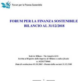FORUM PER LA FINANZA SOSTENIBILE BILANCIO AL 31/12/2018