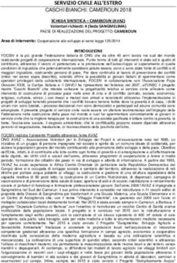 SERVIZIO CIVILE ALL'ESTERO - CASCHI BIANCHI: CAMEROUN 2018 - Focsiv