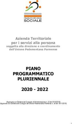 PIANO PROGRAMMATICO PLURIENNALE - Azienda Territoriale per i servizi alla persona - Unione ...