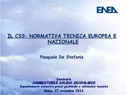 IL CSS: NORMATIVA TECNICA EUROPEA E NAZIONALE - Pasquale De Stefanis COMBUSTIBILE SOLIDO SECONDARIO