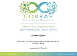 Cartamo, lino, canapa e camelina Esperienze di coltivazione in Toscana - Luciana G. Angelini - Accademia dei ...