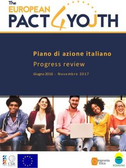 Piano di azione italiano - Progress review Giugno2016 -Novembre 2017 - Impronta Etica