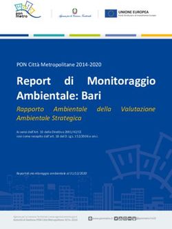 Report di Monitoraggio Ambientale: Bari - Rapporto Ambientale Ambientale Strategica - PON Metro