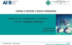 CAPIRE E GESTIRE I RISCHI FINANZIARI - La realtà di Nextam Partners Sistemi di risk management a confronto