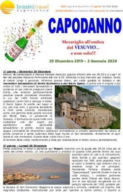 Del VESUVIO Meraviglie all'ombra - Brasini ...
