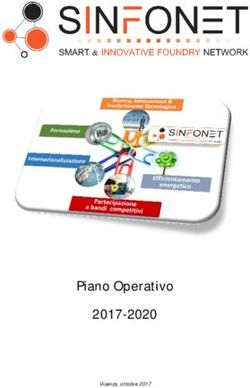 Piano Operativo 2017-2020 - 1 Vicenza, ottobre 2017 - Veneto Clusters