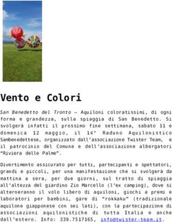 Vento e Colori - Il Mascalzone