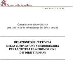 RELAZIONE SULL'ATTIVITÀ DELLA COMMISSIONE STRAORDINARIA PER LA TUTELA E LA PROMOZIONE DEI DIRITTI UMANI - Commissione straordinaria per la tutela ...