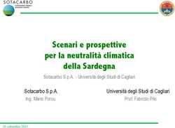 Scenari e prospettive per la neutralità climatica della Sardegna - Sotacarbo S.p.A.