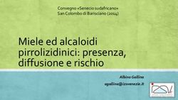 Miele ed alcaloidi pirrolizidinici: presenza, diffusione e rischio - Convegno "Senecio sudafricano" San Colombo di Barisciano (2014)
